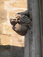 Carcassonne, Basilique St-Nazaire & St-Celse, Gargouille, Monstre aile (2)